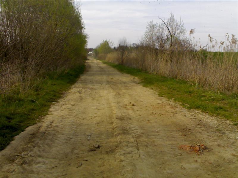 200704091730 .jpg